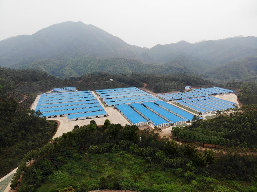 出口示范基地“進(jìn)階記”④ | 出口創(chuàng)匯8677萬(wàn)美元，唐順興食品爭(zhēng)當(dāng)農(nóng)產(chǎn)品出口大戶