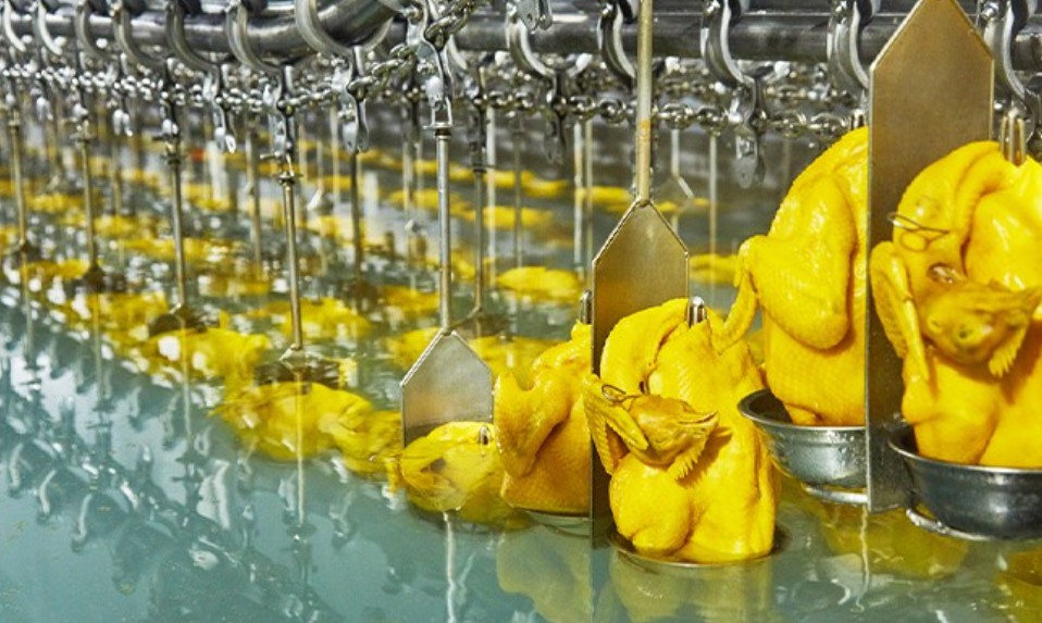 唐順興港式燒臘：美味傳承，盡顯港風(fēng)韻味