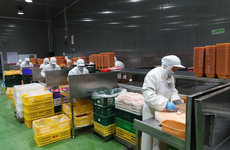 唐順興：您信賴(lài)的白切雞食材批發(fā)廠(chǎng)家