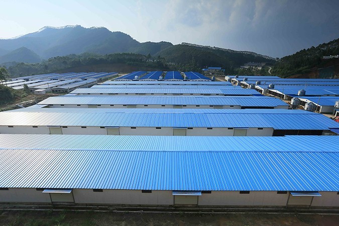 乳鴿食材批發(fā)廠(chǎng)家哪家好 ？ 