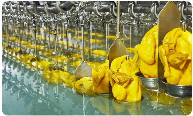 白切雞食材供應(yīng)商有安全保障嗎？