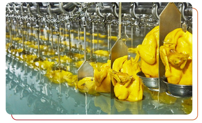 雞肉是否經(jīng)過(guò)檢測(cè)，有無(wú)相關(guān)的檢測(cè)報(bào)告？