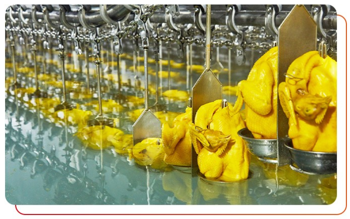 白切雞食材供應商加工過程中注意事項