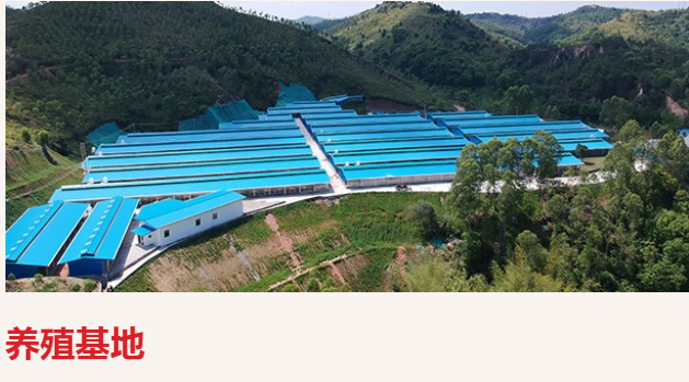 唐順興預制菜食材從哪里來