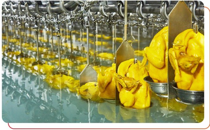 白切雞食材供應商有哪些要求